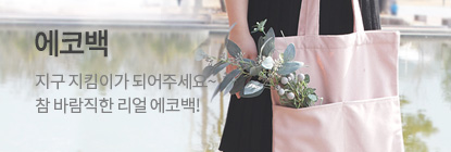 에코백